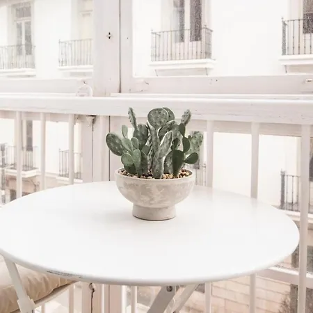 Bahia Charm In The Heart Of Apartment